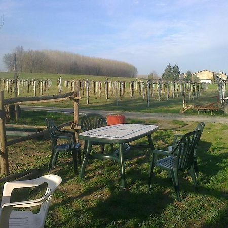 Agriturismo Antica Golena Guastalla Exteriér fotografie
