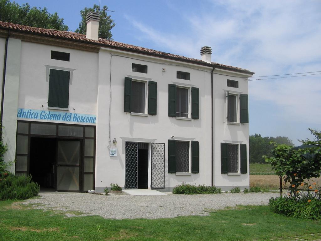 Agriturismo Antica Golena Guastalla Exteriér fotografie